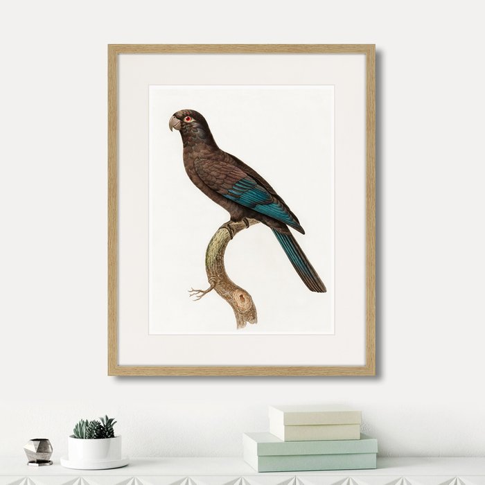 Набор из двух картин Beautiful parrots №4  - лучшие Картины в INMYROOM
