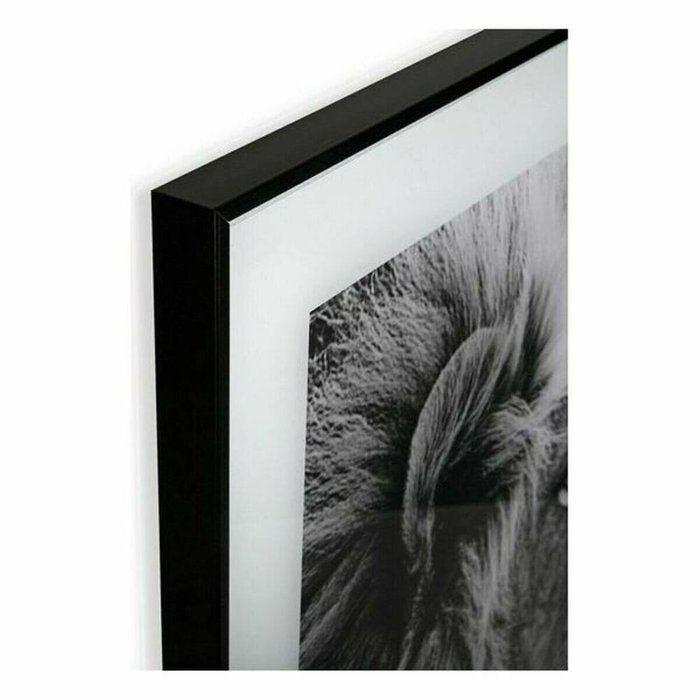 Картина Лев Стеклянный 2 x 50 x 50 cm - лучшие Картины в INMYROOM