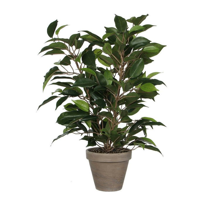 Декоративное растение 40 x 30 cm Керамика Зеленый PVC фикус