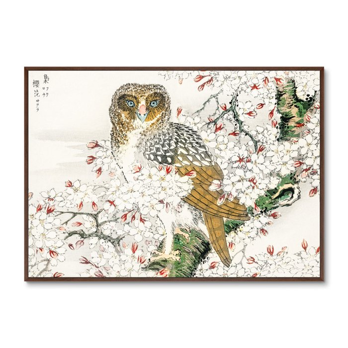 Репродукция картины Short-eared Owl and Cherry Flower, 1885г. - купить Картины по цене 21999.0
