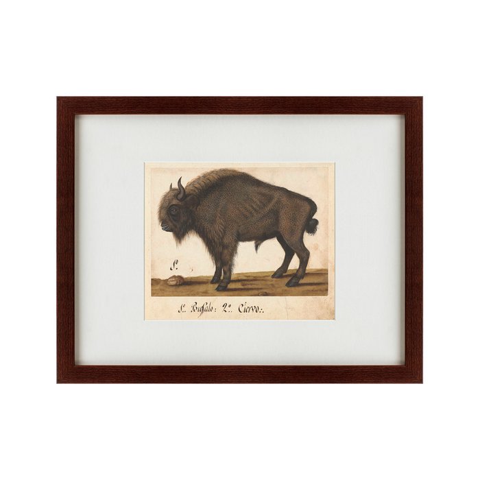 Картина Bison 1560 г.  - купить Картины по цене 5995.0