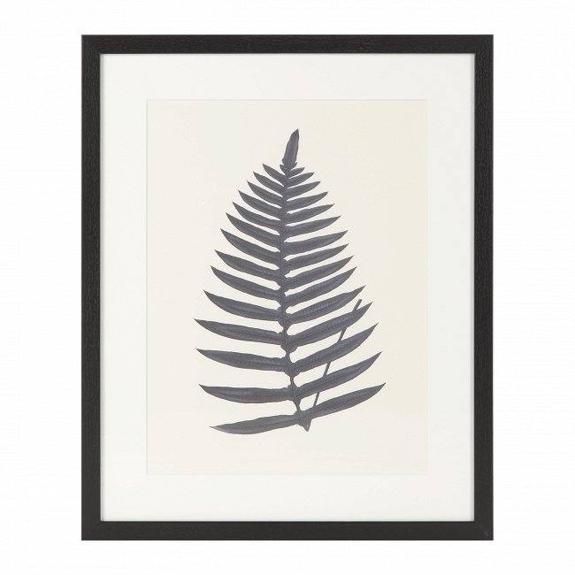 Постер в раме Palm 4 с изображением листа пальмы