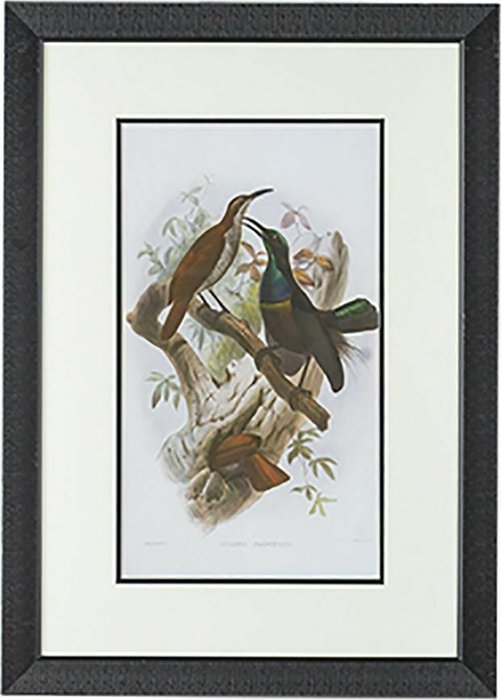 Набор из двух принтов Птицы 50x70 в раме черного цвета - купить Принты по цене 11007.0