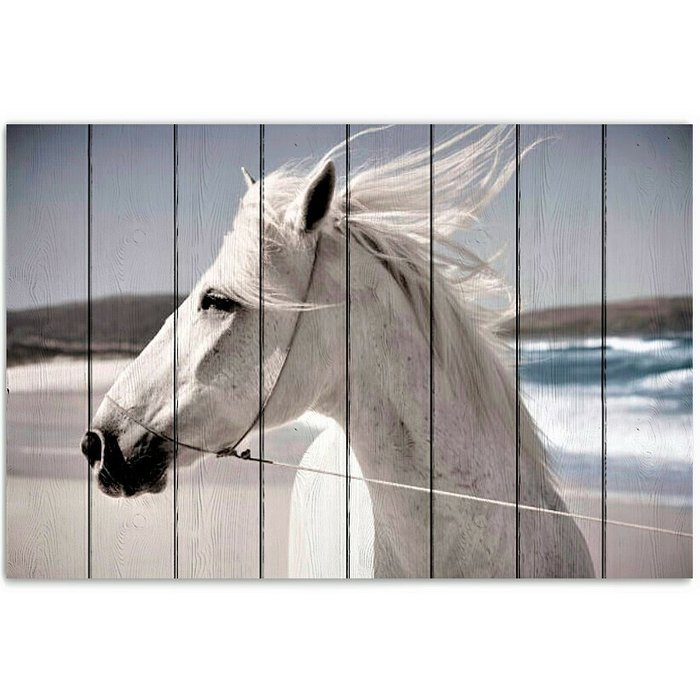 Картина на дереве Лошадь на побережье 40х60 см
