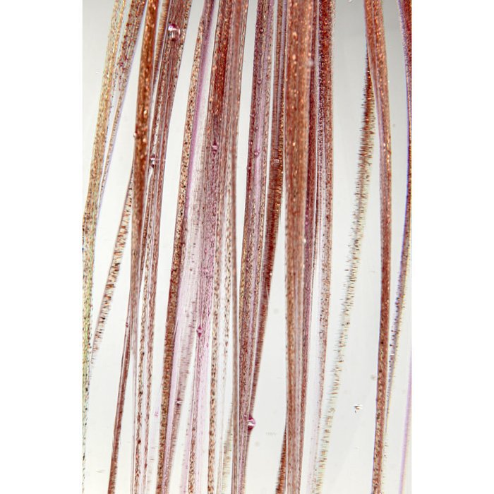 Пресс-папье Jellyfish красного цвета - лучшие Декоративные предметы в INMYROOM