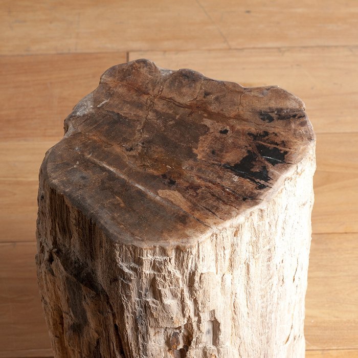 Подставка из окаменелого дерева - купить Консоли по цене 48560.0
