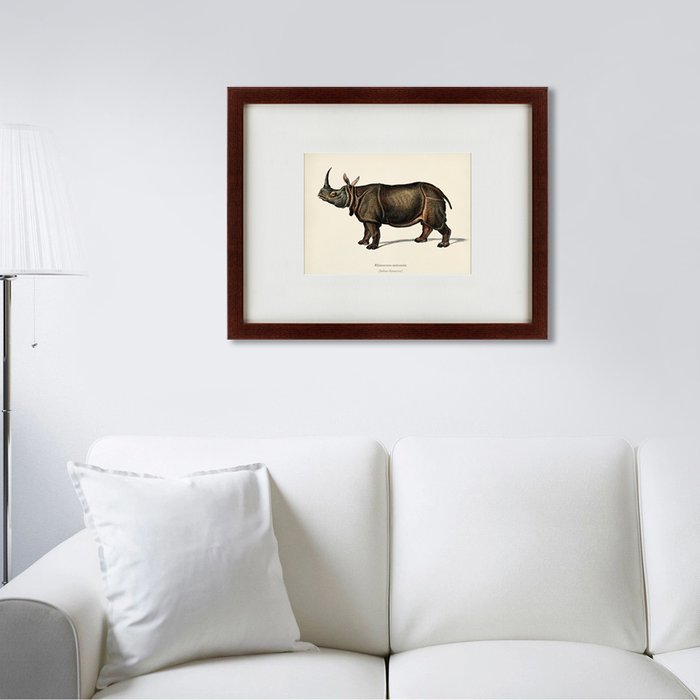 Картина Rhinoceros ancienne gravure 1849 г. - лучшие Картины в INMYROOM