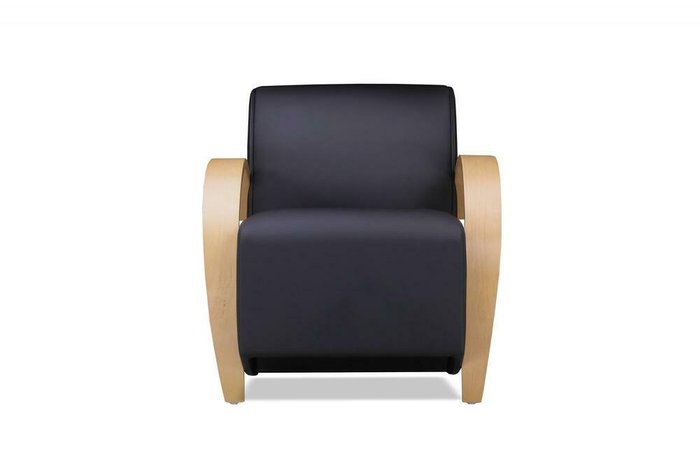 Кресло Паладин Комфорт черного цвета - купить Интерьерные кресла по цене 41450.0