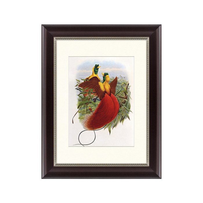 Картина Красные райские птицы 1880 г. - купить Картины по цене 2495.0
