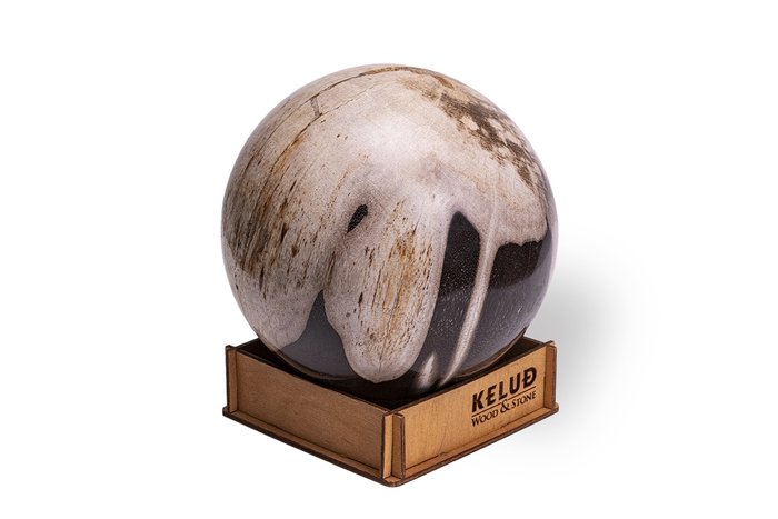 Декоративный шар из окаменелого дерева 383212 - купить Фигуры и статуэтки по цене 6695.0