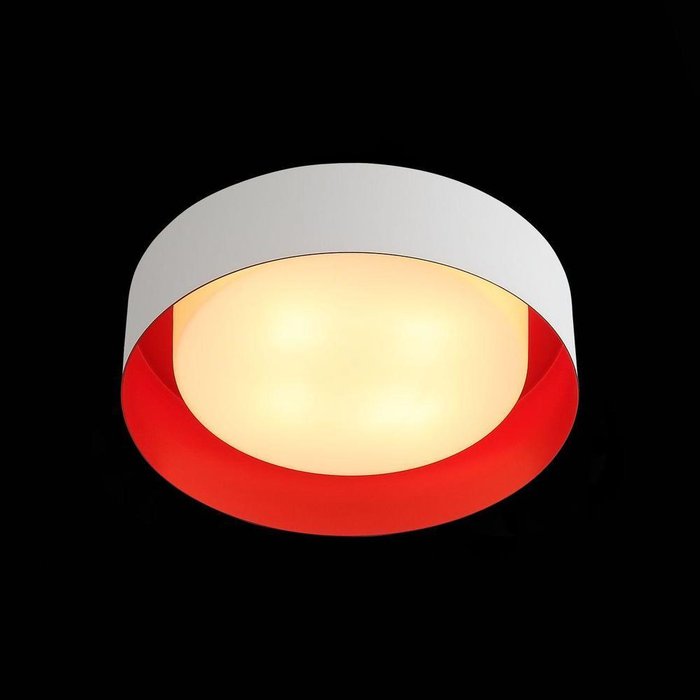 Потолочный светильник Chio из металла и стекла  - купить Потолочные светильники по цене 9890.0