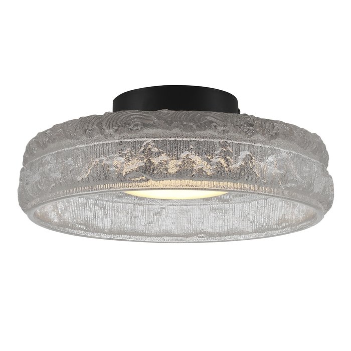 Светильник потолочный ST-Luce черный/прозрачный LED 1*15W 4000K ANTIKE Светильник потолочный ST-Luce черный/прозрачный LED 1*15W 4000K ANTIKE