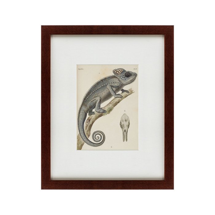 Картина Chameleon 1706 г. - купить Картины по цене 4990.0