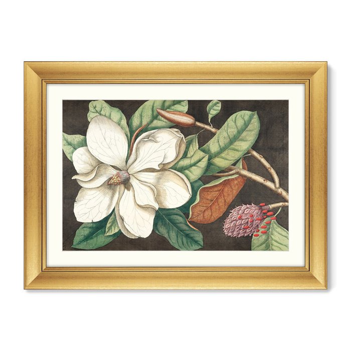 Репродукция картины Beauty bloom №1 1732 г. - купить Картины по цене 16299.0