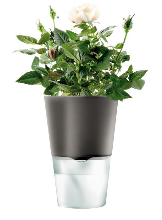 Горшок для растений с естественным поливом Eva Solo herb pot темно-серый - купить Вазы  по цене 4400.0