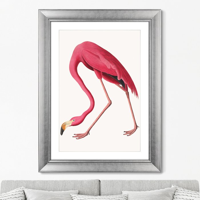 Репродукция картин Американский фламинго литография 1822 г.