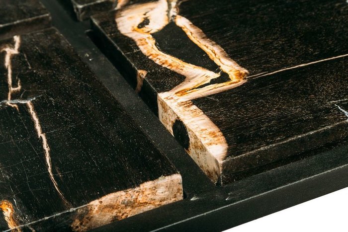 Журнальный стол Таланго из окаменелого дерева 23 - лучшие Журнальные столики в INMYROOM