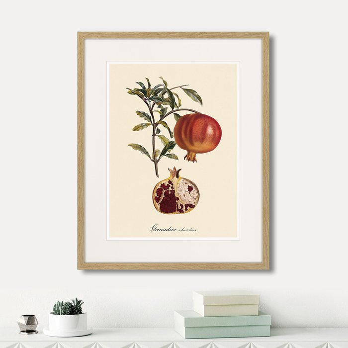 Набор из шести картин Juicy fruit lithography №4  - лучшие Картины в INMYROOM