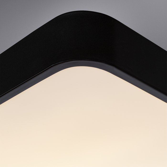 Потолочный светильник черно-белого цвета - лучшие Потолочные светильники в INMYROOM