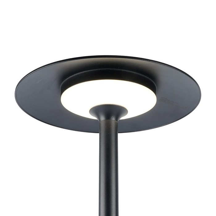 Ландшафтный светильник Берген 51980 (алюминий, цвет черный) - лучшие Наземные светильники в INMYROOM Ландшафтный светильник Берген 51980 (алюминий, цвет черный) - лучшие Наземные светильники в INMYROOM