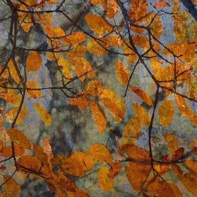 Постер Autumn Leaves