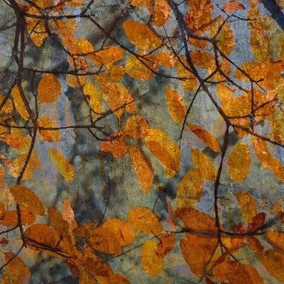 Постер Autumn Leaves Постер Autumn Leaves