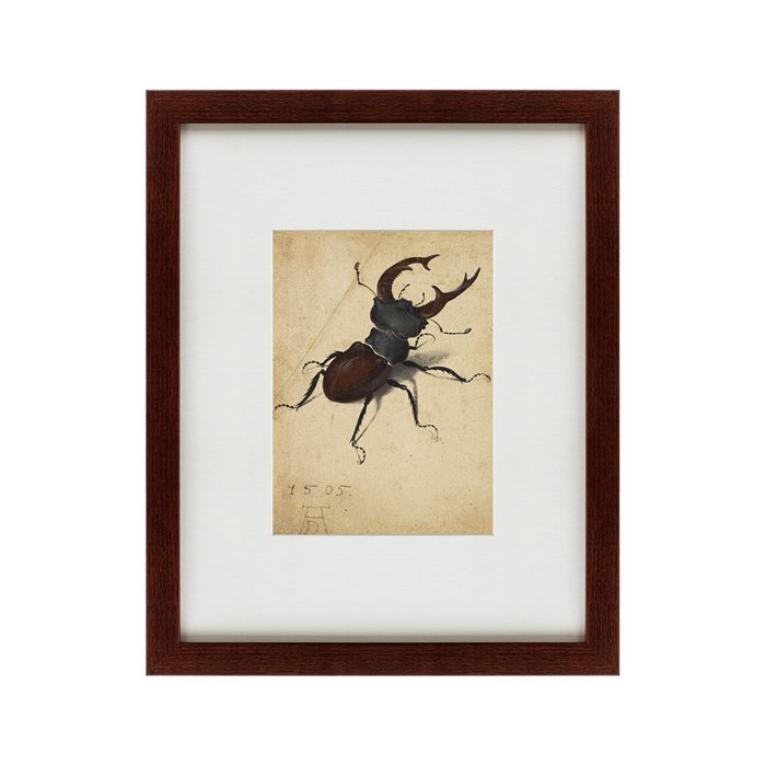 Картина Stag Beetle 1505 г. - купить Картины по цене 4990.0