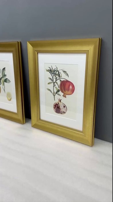Набор из двух репродукций картин Juicy fruit lithography №10 1870 г. - лучшие Картины в INMYROOM
