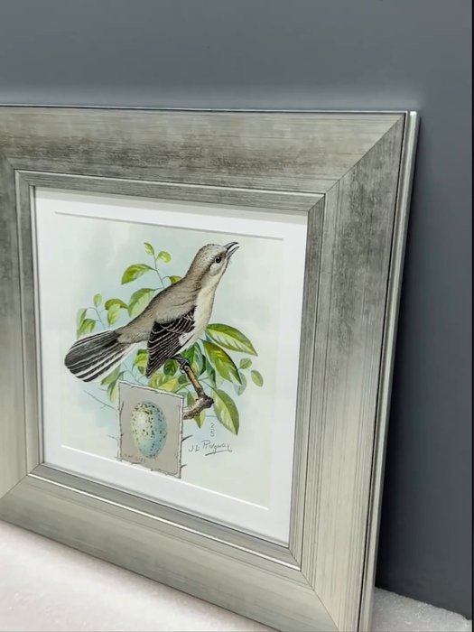 Картина Птицы винтажная почтовая открытка №3 1918 г.  - лучшие Картины в INMYROOM