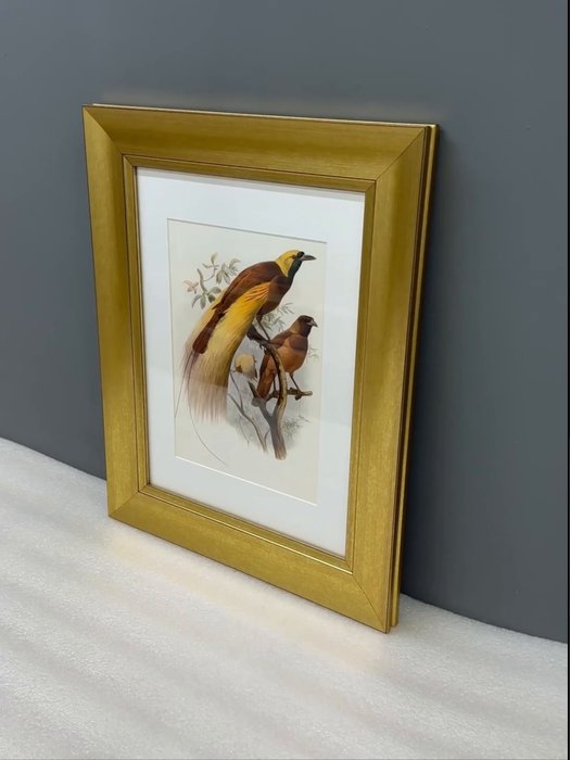 Картина Большая райская птица 1880 г.  - лучшие Картины в INMYROOM