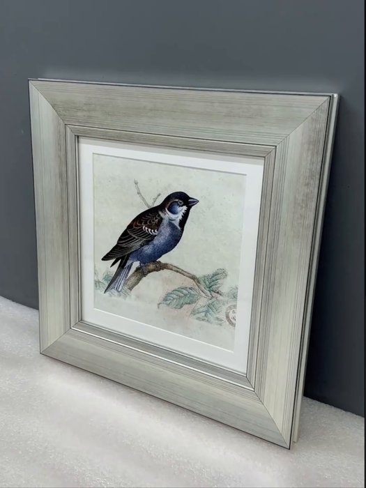 Репродукция картины в раме Птицы, винтажная почтовая открытка №1, 1918г. - лучшие Картины в INMYROOM Репродукция картины в раме Птицы, винтажная почтовая открытка №1, 1918г. - лучшие Картины в INMYROOM