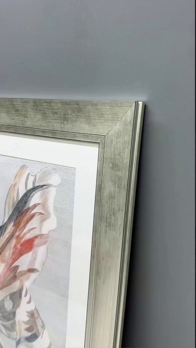 Репродукция картины Tulip, 1699г - лучшие Картины в INMYROOM Репродукция картины Tulip, 1699г - лучшие Картины в INMYROOM