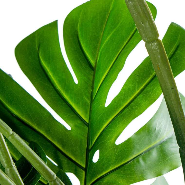 Декоративное растение Пластик Monstera 170 cm