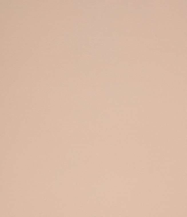 мини ролета Лестер 42,5х175 пудра