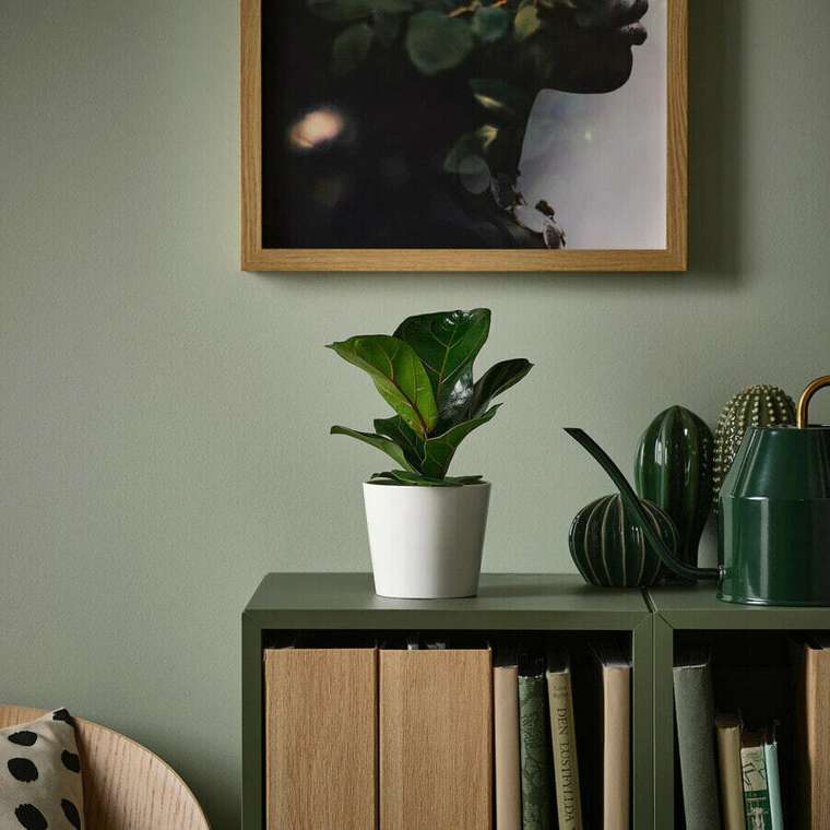 Корзины-подставки для цветочных растений, инжир-скрипка, 9 см