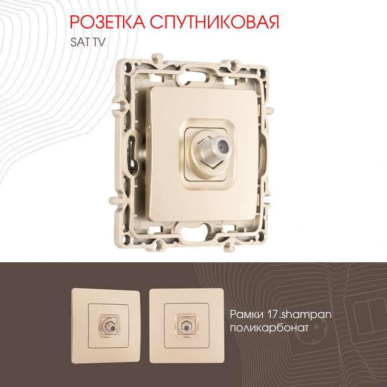 Розетка 217.42-1.shampan (пластик, цвет шампань)