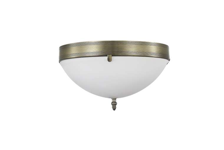 Бра MyFar Biene MR2520-2W