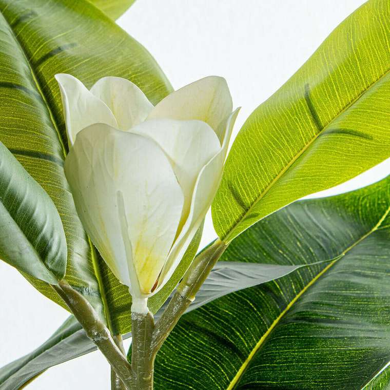 Декоративное растение Пластик Magnolia 130 cm