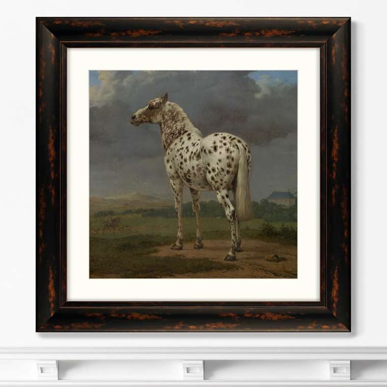 Репродукция картины The Piebald Horse, 1654г.