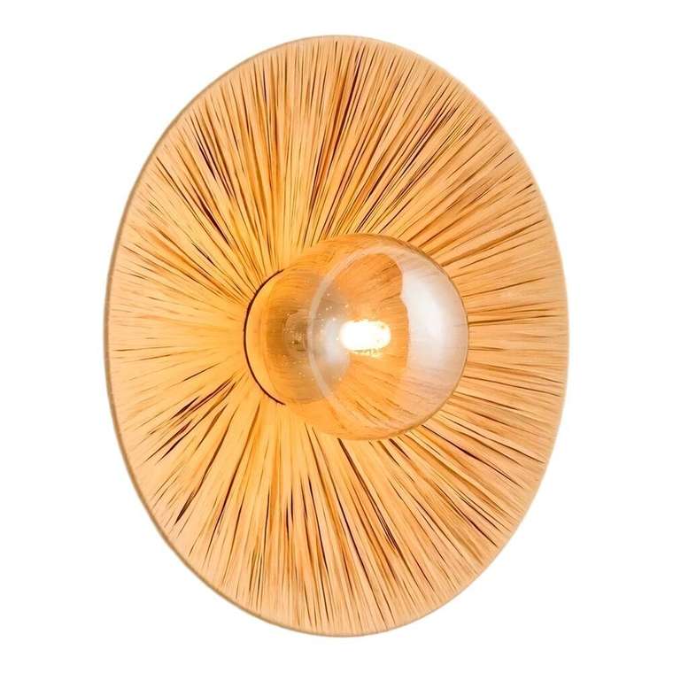 Настенный светильник Sunflower LSP-5009 (джут)