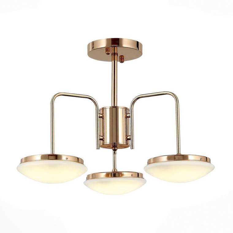 Потолочная светодиодная люстра ST Luce Pratico 