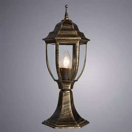 Ландшафтный светильник Arte Lamp PEGASUS A3151FN-1BN