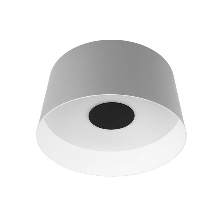 Потолочный светильник Duo 10360M Grey (металл, цвет серый)