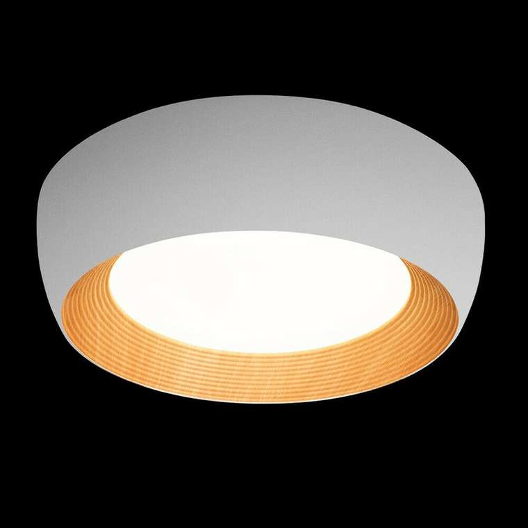 Светильник потолочный Loft It Folk 10255/500 White