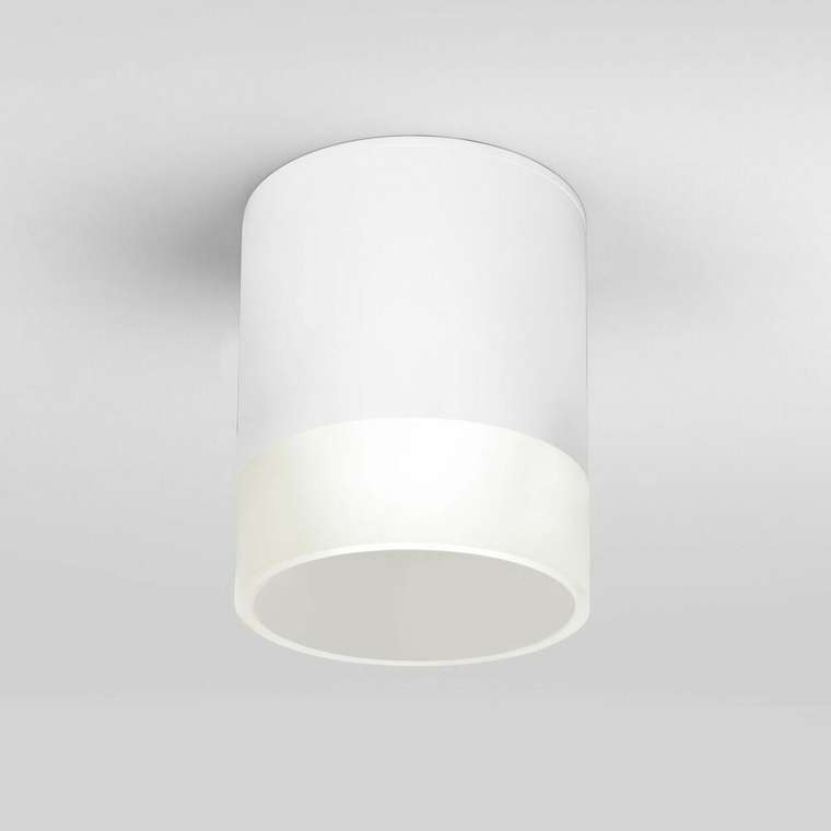Уличный потолочный светильник Light LED 2107 IP54 35140/H белый