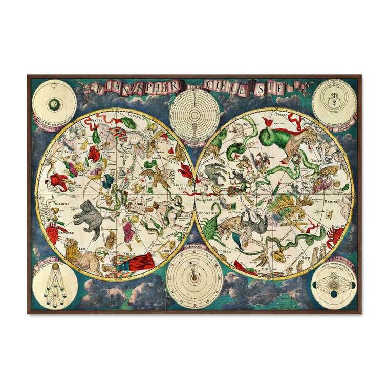 Картина Карта созвездий 17 век 