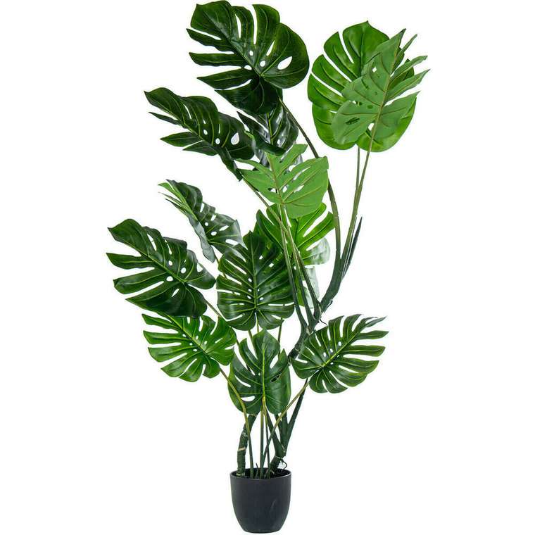 Декоративное растение Пластик Monstera 170 cm