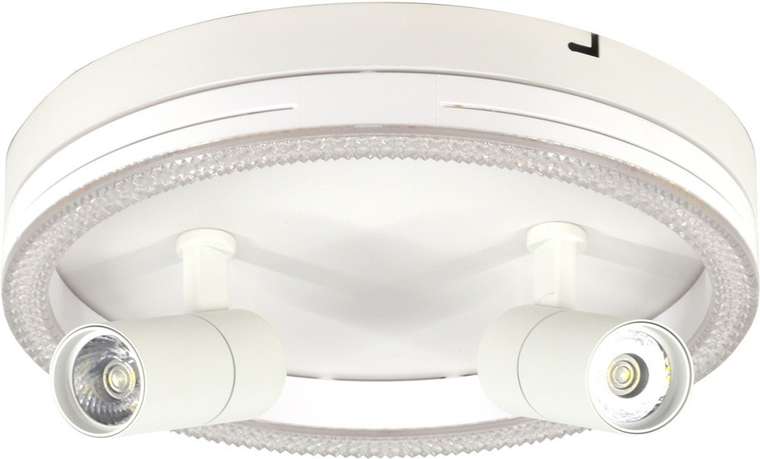Настенно-потолочный светодиодный светильник Escada 20044LED 20044SMA/03LED WH 43Вт, металл/акрил, белый