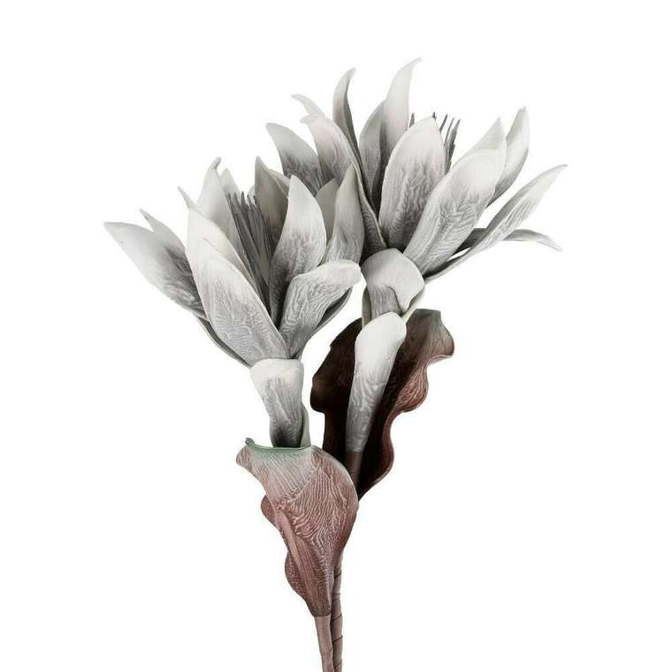 Искусственное растение Molave белого цвета