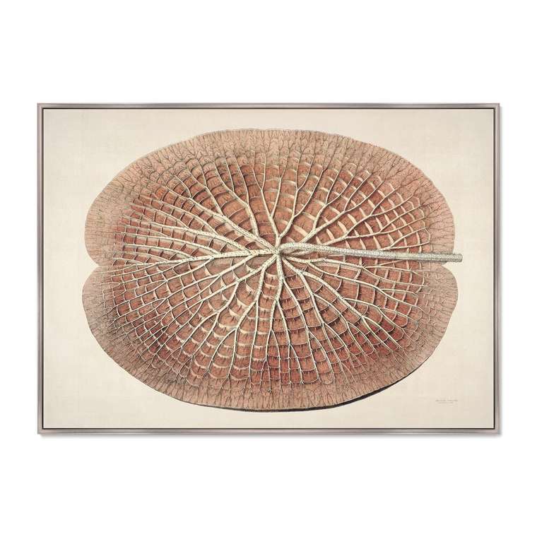 Репродукция картины на холсте Лист гигантской кувшинки, 1870г.